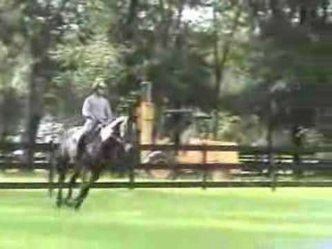 Riad Landoulsi and Acovibu