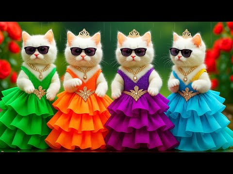 बिल्ली डांस | Cutest Cat videos funny dance🤣💃Videos for cats By Life Kitten#funny#dancingcat #cat