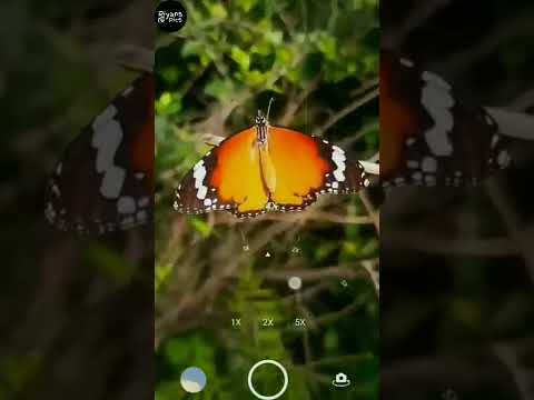 INSTAGRAM Viral Photography | NATURE PHOTOGRAPHY TIPS FOR MOBILE | NATURE PHOTOGRAPHY IDEAS