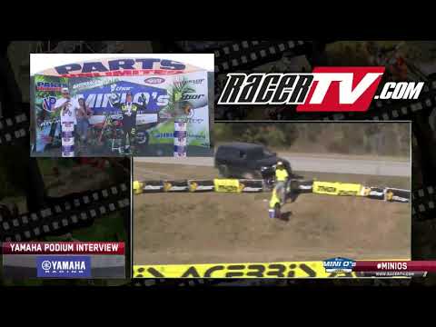 2019 Mini O's MX - 250 C Jr (12-17) Limited