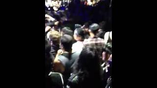 English Dogs -Ambassador of Fear