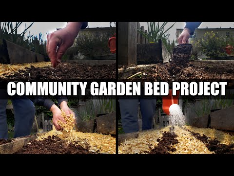 Why Raised Garden Beds Are Better