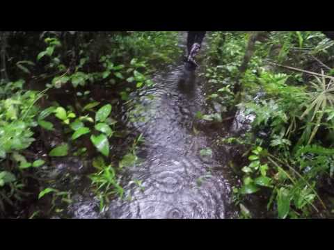 Adam Hiking In The Amazon