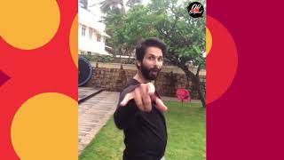 Gold Tamba Video Song Share Shahid Kapoor On Instagram