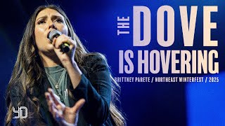 The Dove is Hovering | Brittney Parete | Northeast Winterfest 2025 - Buffalo, NY