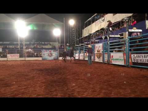 Ribeirão do sul  . SP