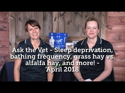 Ask the Vet - Sleep deprivation, bathing frequency, grass vs alfalfa hay, and more! - April 2018