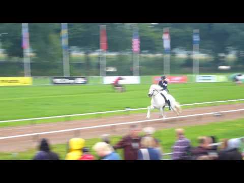 Carina Mayerhofer-Piber - Frami von St. Oswald