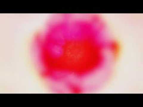 TEXHNOLYZE ED:月の歌