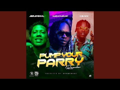 Pump Your Parry (Remix)