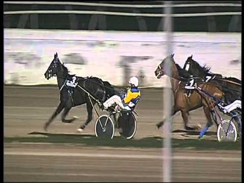 Trotto 19/01/2016 - 7° corsa