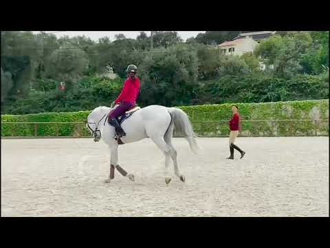 03 - My Road To Tokyo - Luciana Diniz -  With João Torrão, olympic riders sharing training knowledge