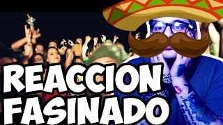 REACCION Alemán - Alterados Ft. Remik González & El Pinche Mara