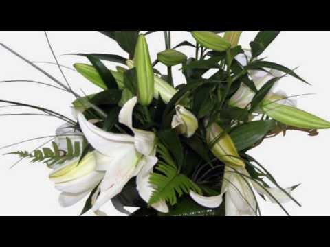 Să-i mulțumești lui Dumnezeu de ai o mamă - Sorin Goleanu