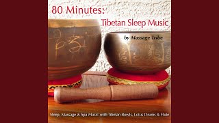 Dream Translation (Lotus Drum, Tibetan Bowls & Flutes)