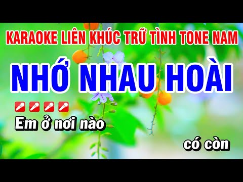 Karaoke Liên Khúc Nhạc Trữ Tình Tone Nam Dễ Hát - Nhớ Nhau Hoài | Hoài Phong Organ