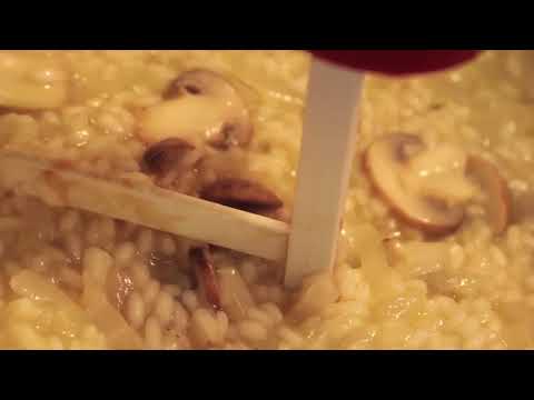 StirMATE® VS Variable Speed Smart Pot Stirrer - Gen 3 | StackSocial