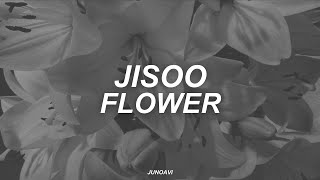 jisoo - flower (polskie tłumaczenie)