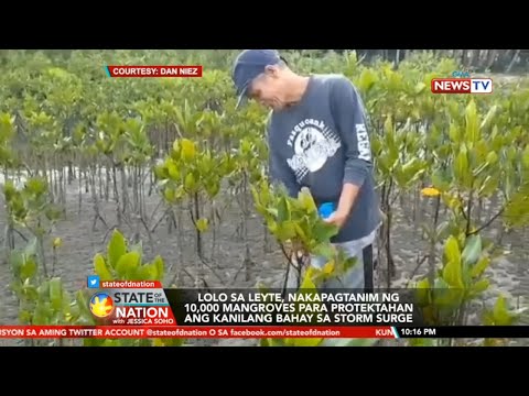 SONA: Lalaki sa Leyte, nagtanim ng 10,000 mangroves sa loob ng walong taon