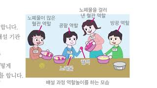 [초등과학 6-2 무료강의] 4. 우리 몸의 구조와 기능 ⑤ 우리 몸은 노폐물을 어떻게 내보낼까요?