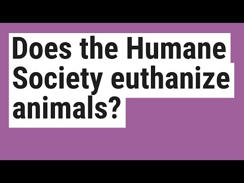 Does the Humane Society euthanize animals?
