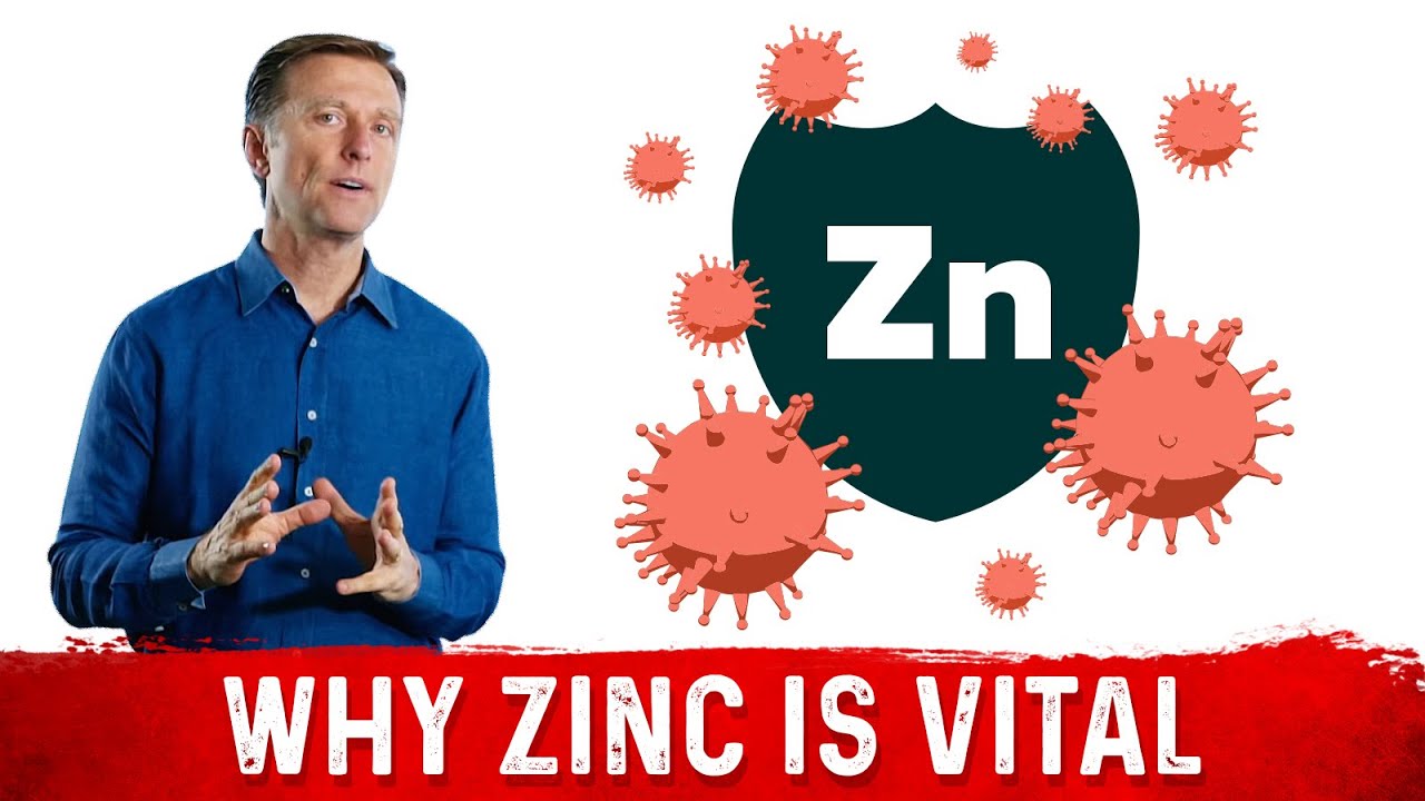 Importance of Zinc for the Immune System