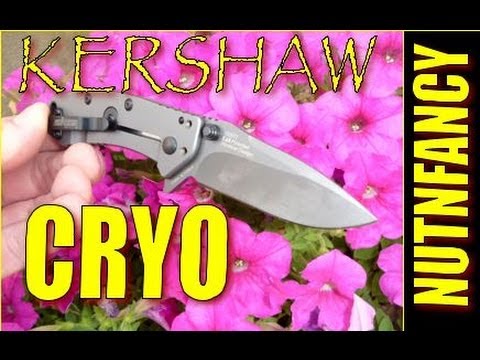 Kershaw Cryo Long Term Review | Best EDC Knife?