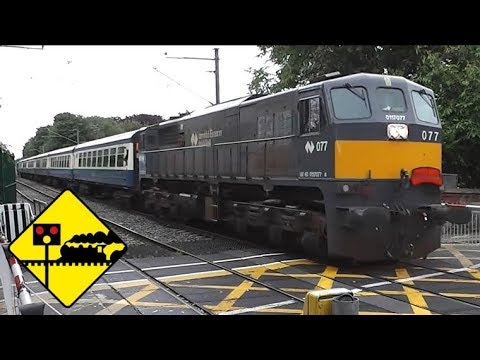 Railway Crossing - Syndey Parade - IE 071 Class Number 077 on ‘The Slaney’