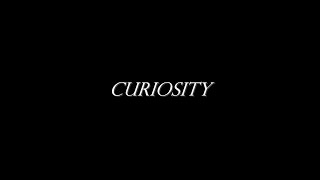 Porcelain Black - CURIOSITY (Studio)