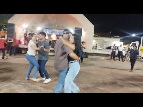 Grupo raça pantaneira na cidade de Corguinho ms.. 