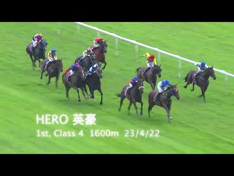 Singapore Derby 2022 Contenders