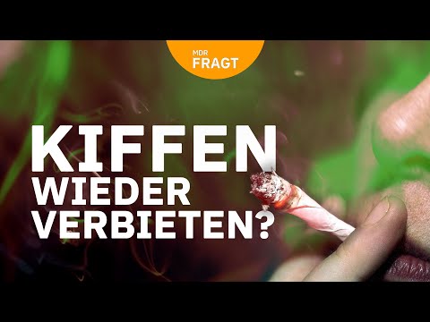 Ein Jahr legal kiffen – Fortschritt oder Fehlschlag? | MDR um 4 | MDR