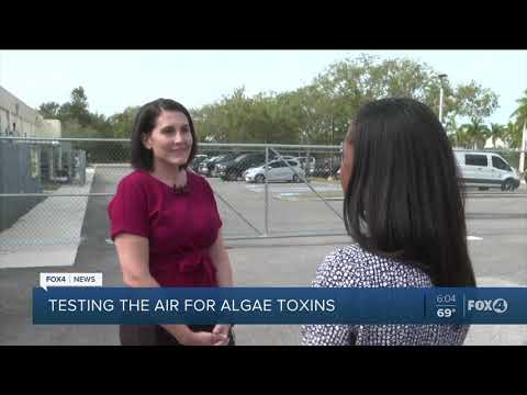 Researchers look into how blue-green algae's affecting human health