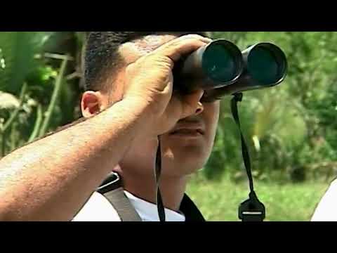 La Isleta de Manatí, un paisaje paraíso para la conservación de especies en #LasTunas