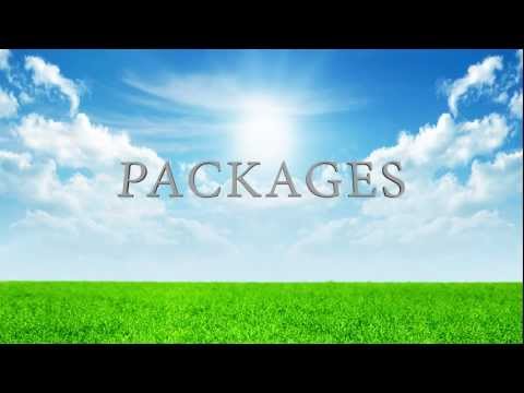 Max 6 Feature: Packages