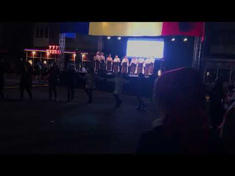 Ansamblul folcloric Bacitele - Foaie verde matostat