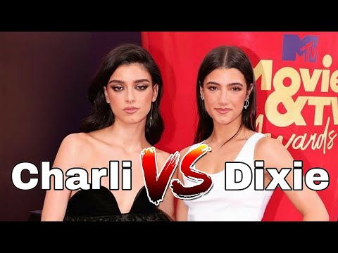 Charli vs Dixie S2:E3: can Charli make ice cream out of this?