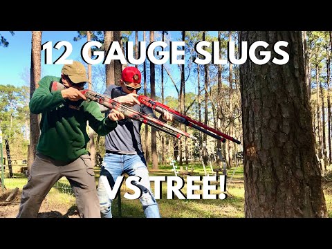 Shotgun Slugs VS HUGE TREE!  with Steve Gould