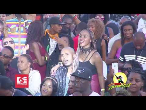 Reggae Sumfest 2016   Beenie Man Part 4 of 5