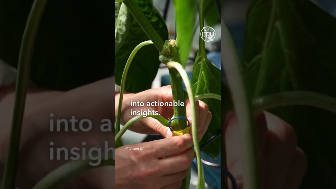 🌱 Discover Vivent Biosignals at the #AIforGood Global Summit, 7–10 July in Geneva.