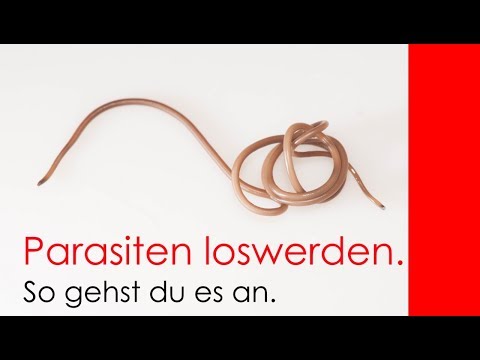 Gribok der Beine das chinesische Präparat Wie es schnell ist, sexuell gribok zu heilen