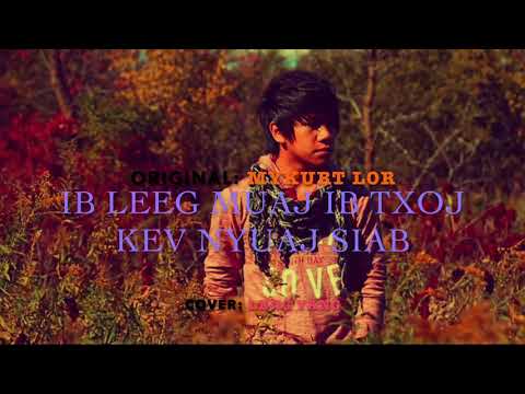 Ib Leeg Muaj Ib Txoj Kev Nyuaj Siab - Leng Yang [Cover]