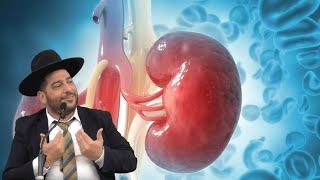 2 מיליון מסננים, צינור נכנס, צינור יוצא, ובסה"כ 10 ס"מ - מי אני? חידה שתשנה לכם את החיים! מטורף! (הרב אפרים שרבני) - התמונה מוצגת ישירות מתוך אתר האינטרנט יוטיוב. זכויות היוצרים בתמונה שייכות ליוצרה. קישור קרדיט למקור התוכן נמצא בתוך דף הסרטון