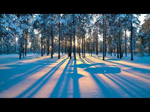 Don_t Try Me Sarai Hendrix Eugene Whitney Mareli Hines Isaiah Odom