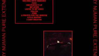 Gary Numan - Pure Extended - Track 7 - "Fallen"