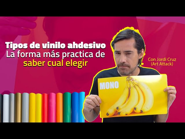 Vídeo relacionado con Vinilin - Pegatina Vinilo Escudo Navarra 9 cm x 5,3 cm (Gris Oscuro)