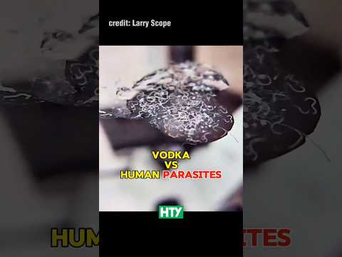 Vodka vs. Parasitic Worms - You Won’t Believe This 🔬