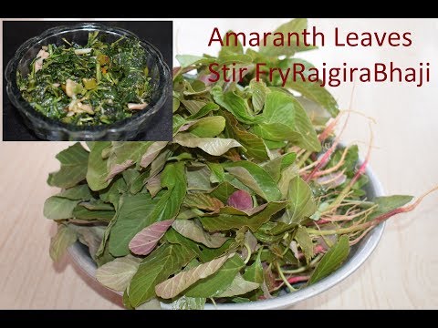 download lagu mp3 mp4 Rajgira Leafy Vegetable, download lagu Rajgira Leafy Vegetable gratis, unduh video klip Rajgira Leafy Vegetable