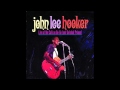 John Lee Hooker - Lucille