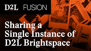 Getting Along: Sharing a Single Instance of D2L Brightspace at a Large Institution